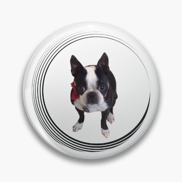 Artikelvorschau, Netter Boston Terrier entworfen und verkauft von LapillusDesigns.