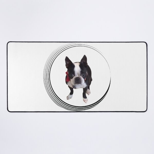 Artikelvorschau, Netter Boston Terrier entworfen und verkauft von LapillusDesigns.