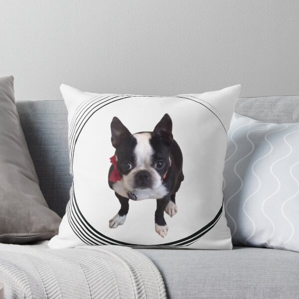 Artikelvorschau, Netter Boston Terrier entworfen und verkauft von LapillusDesigns.