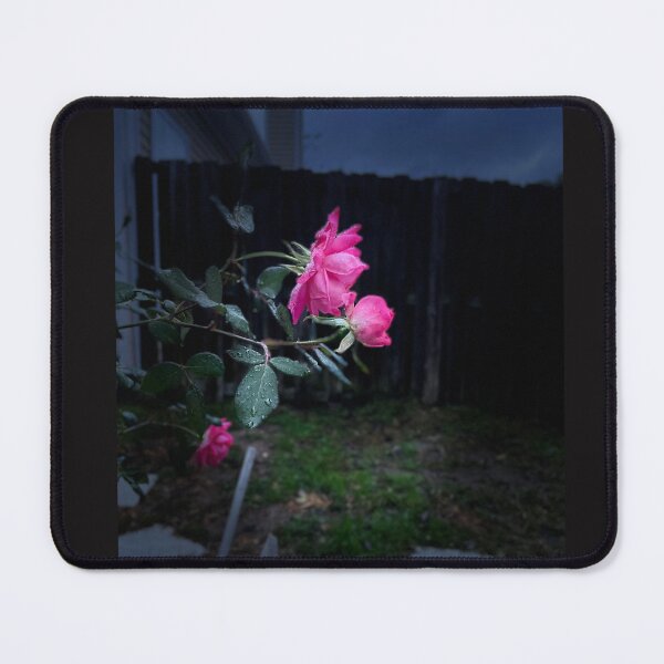 Item preview, Charleston night designed and sold by Ragen Gee.