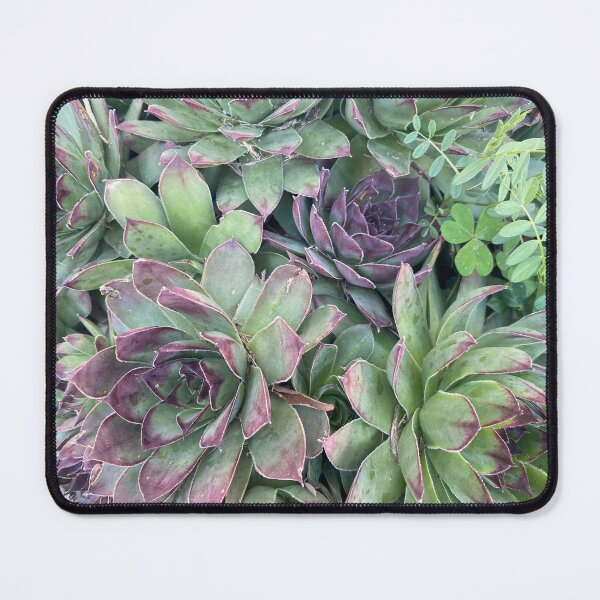 Item preview, Green and Purple Succulents designed and sold by laurenbartaart.