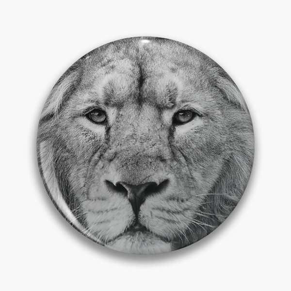 Item preview, Asiatic Lion designed and sold by Darren Wilkes.