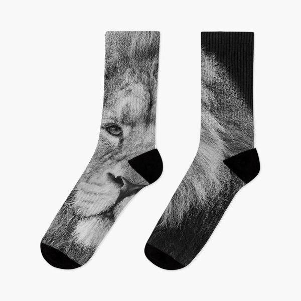 Item preview, Asiatic Lion designed and sold by Darren Wilkes.