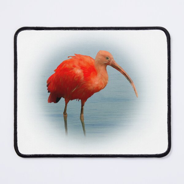 Item preview, Scarlet ibis designed and sold by Guardi71.