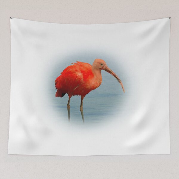 Item preview, Scarlet ibis designed and sold by Guardi71.