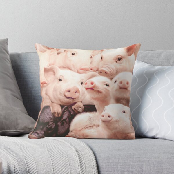 https://ih1.redbubble.net/image.485601665.8032/throwpillow,small,600x-bg,f8f8f8-c,0,120,600,600.u2.jpg