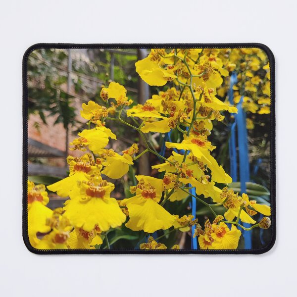 Item preview, Yellow flowers like opera soloists designed and sold by Raigitam.
