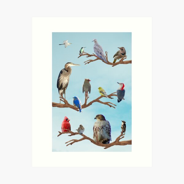Item preview, Birds on Branches designed and sold by TheArtyOne11.
