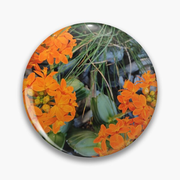 Item preview, Orange beauty designed and sold by Raigitam.
