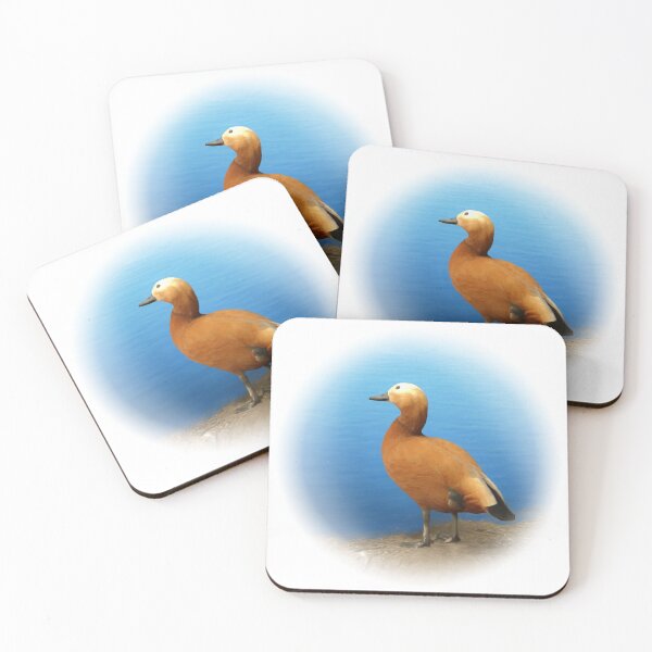 Item preview, Ruddy shelduck designed and sold by Guardi71.