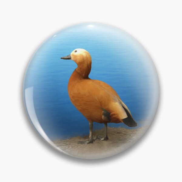 Item preview, Ruddy shelduck designed and sold by Guardi71.