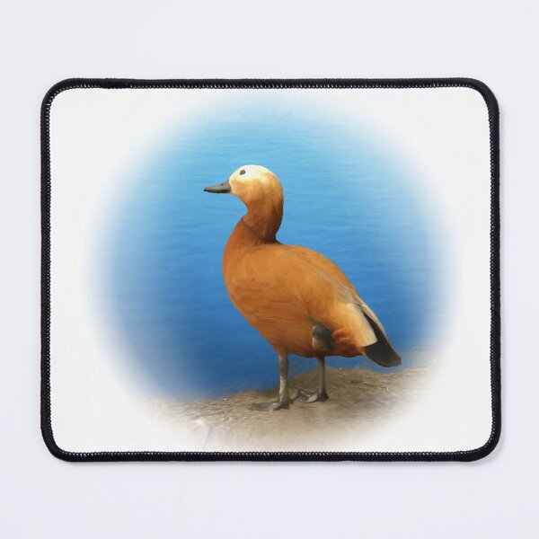 Item preview, Ruddy shelduck designed and sold by Guardi71.