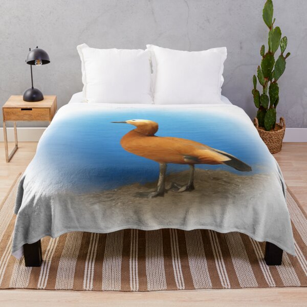 Item preview, Ruddy shelduck designed and sold by Guardi71.