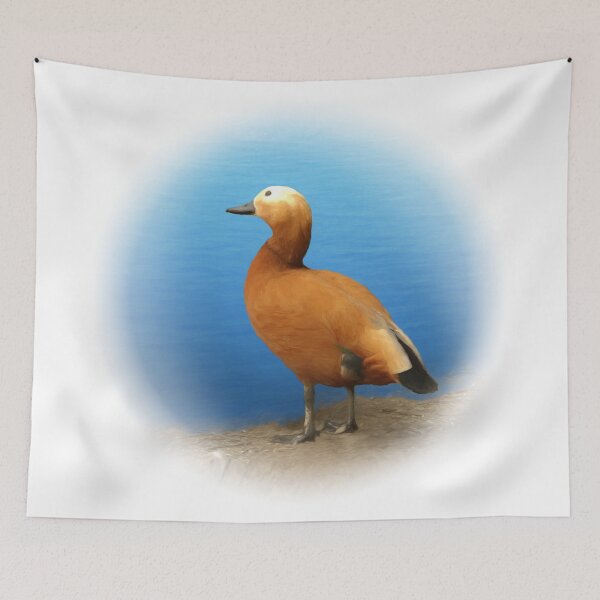 Item preview, Ruddy shelduck designed and sold by Guardi71.