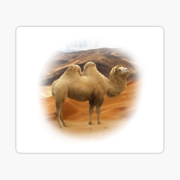 Item preview, Bactrian camel designed and sold by Guardi71.