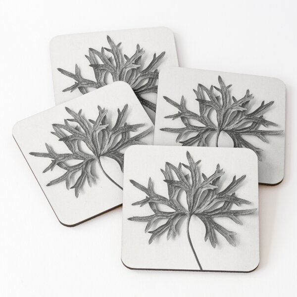 Item preview, Monkshood Leaf Vintage Botanical Print by Karl Blossfeldt  designed and sold by Pretty  Pixel.