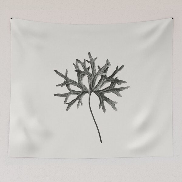 Item preview, Monkshood Leaf Vintage Botanical Print by Karl Blossfeldt  designed and sold by Pretty  Pixel.