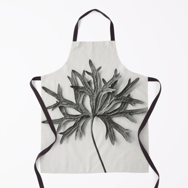 Item preview, Monkshood Leaf Vintage Botanical Print by Karl Blossfeldt designed and sold by Pretty Pixel.