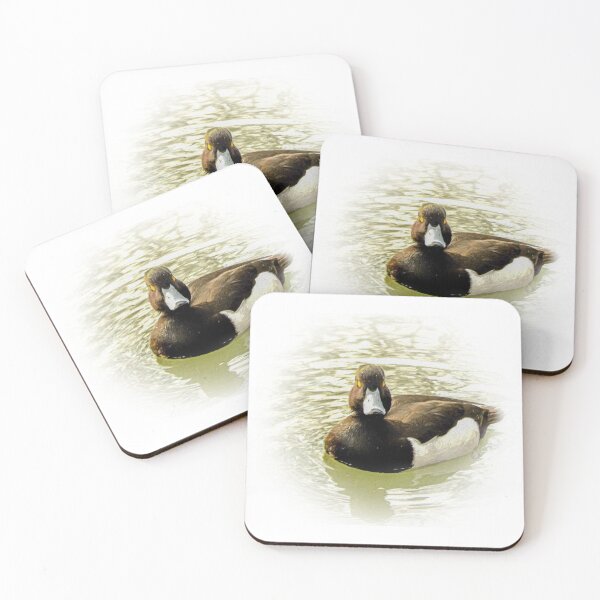 Item preview, Greater scaup designed and sold by Guardi71.