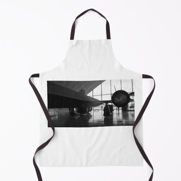 Item preview, SR-71 Blackbird. Duxford Imperial War Museum, England designed and sold by Igor Pozdnyakov.
