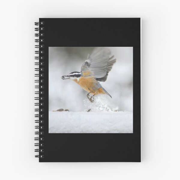 Item preview, Nuthatch in flight designed and sold by Laurie Minor.