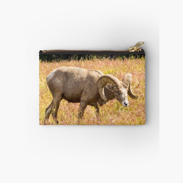 Item preview, Bighorn Ram in Sunny Field designed and sold by Ollivrosa.
