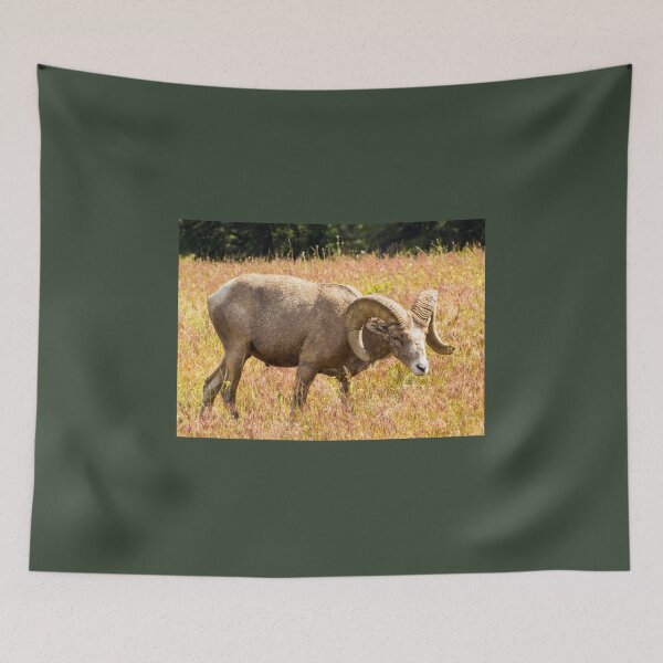 Item preview, Bighorn Ram in Sunny Field designed and sold by Ollivrosa.