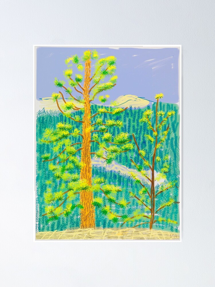 "David Hockney Art David Hockney Reproduction Paintings" Poster for