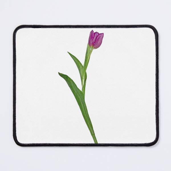 Item preview, Purple tulip flower stem designed and sold by KRFNatureGifts.