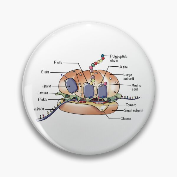 Item preview, Ribosome Burger designed and sold by Science Lab Designs.