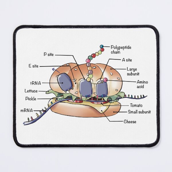 Item preview, Ribosome Burger designed and sold by Science Lab Designs.
