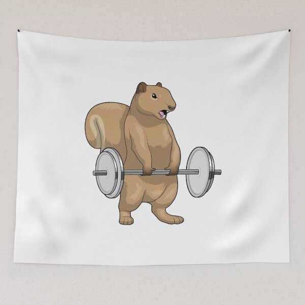 Item preview, Squirrel Bodybuilder Barbell Bodybuilding designed and sold by Snabdesign84.