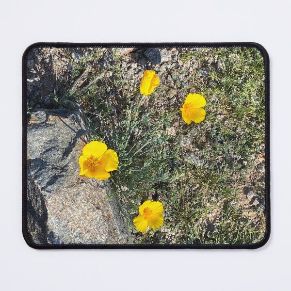 Item preview, Desert Buttercups designed and sold by Image-Prints.