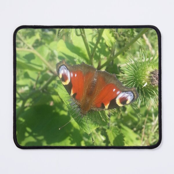Item preview, Peacock butterfly designed and sold by Its-a-wild-life.