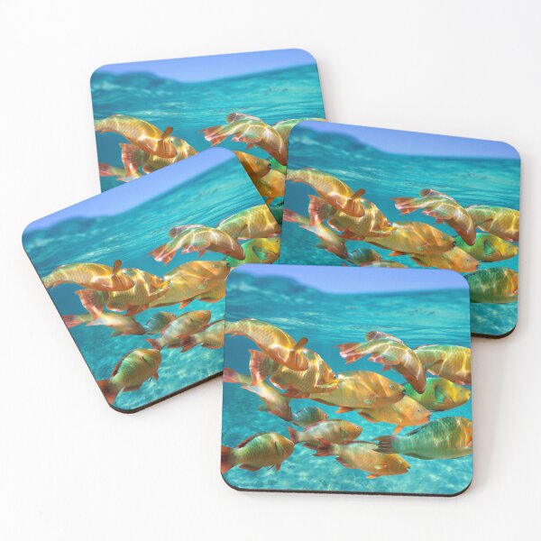 Item preview, School of tropical fish Rainbow parrotfish designed and sold by Seaphotoart.
