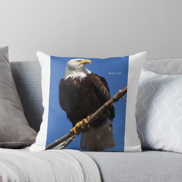 Artikelvorschau, American Eagle von Brandon Cable entworfen und verkauft von BrandonArtWorld.