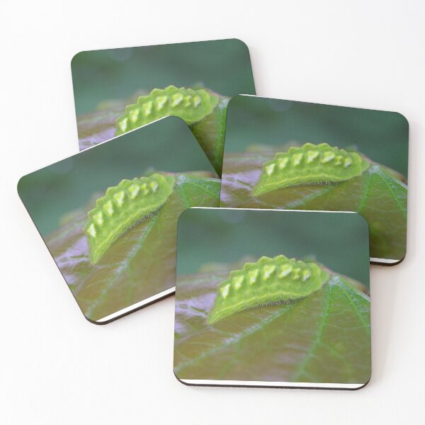 Item preview, Not Friendly designed and sold by Carla Wick/Jandelle Petters.