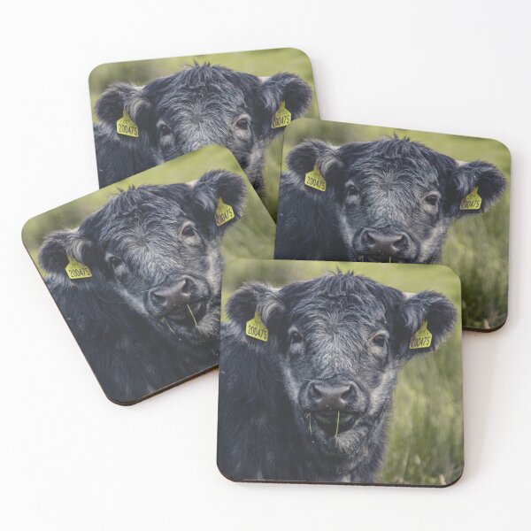 Item preview, Scottish Highland Blue Grey | Unique Beautiful Travelling Home Decor | Phone Cases Stickers Wall Prints | Scottish Travel Photographer  | ZOE DARGUE PHOTOGRAPHY | Glasgow Travel Photographer  designed and sold by Zoe Dargue Photography.
