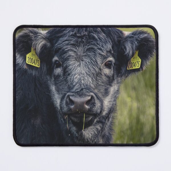 Item preview, Scottish Highland Blue Grey | Unique Beautiful Travelling Home Decor | Phone Cases Stickers Wall Prints | Scottish Travel Photographer | ZOE DARGUE PHOTOGRAPHY | Glasgow Travel Photographer designed and sold by Zoe Dargue Photography.
