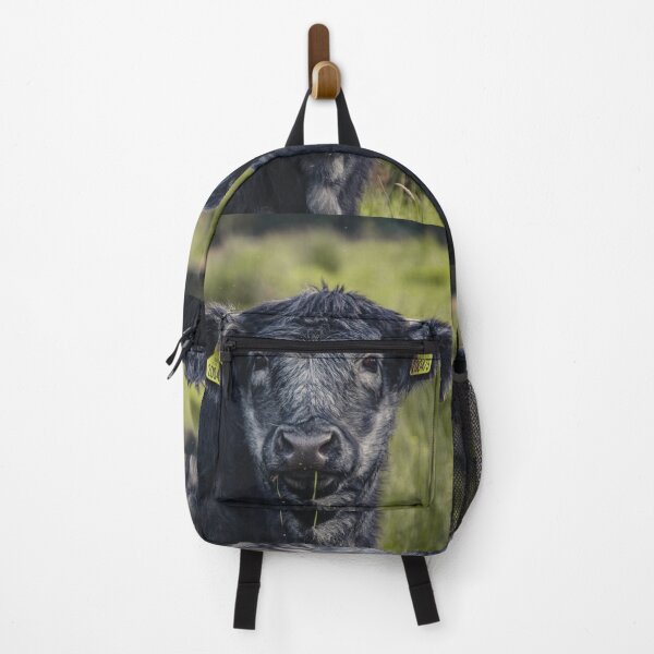 Item preview, Scottish Highland Blue Grey | Unique Beautiful Travelling Home Decor | Phone Cases Stickers Wall Prints | Scottish Travel Photographer | ZOE DARGUE PHOTOGRAPHY | Glasgow Travel Photographer designed and sold by Zoe Dargue Photography.