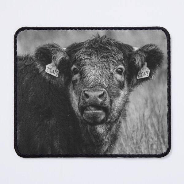 Item preview, Scottish Highland Blue Grey | Unique Beautiful Travelling Home Decor | Phone Cases Stickers Wall Prints | Scottish Travel Photographer | ZOE DARGUE PHOTOGRAPHY | Glasgow Travel Photographer designed and sold by Zoe Dargue Photography.