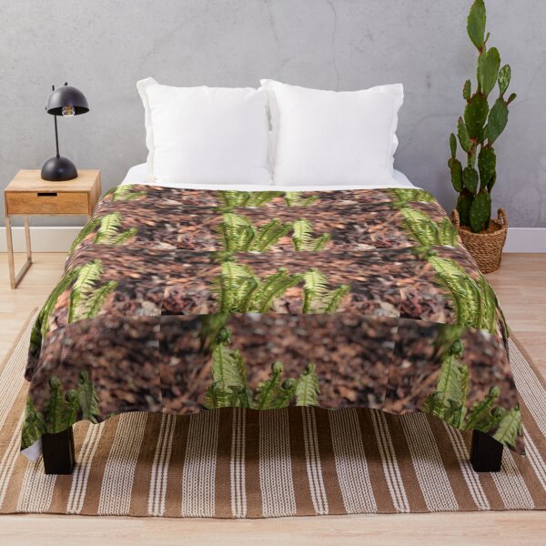 Item preview, Spring green tender fern leaves designed and sold by naturematters.