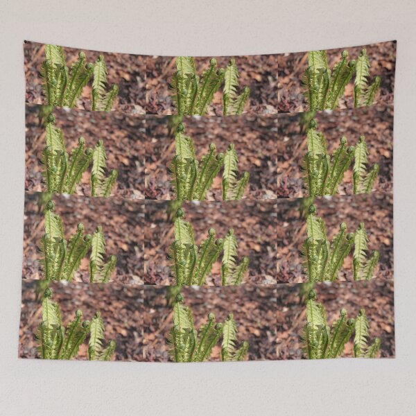 Item preview, Spring green tender fern leaves designed and sold by naturematters.