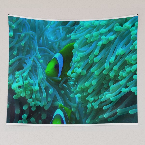 Item preview, Nemo Fish designed and sold by likbatonboot.