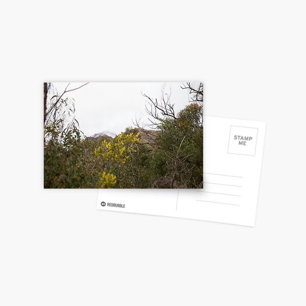Item preview, Mount William designed and sold by Kevin Bergin.