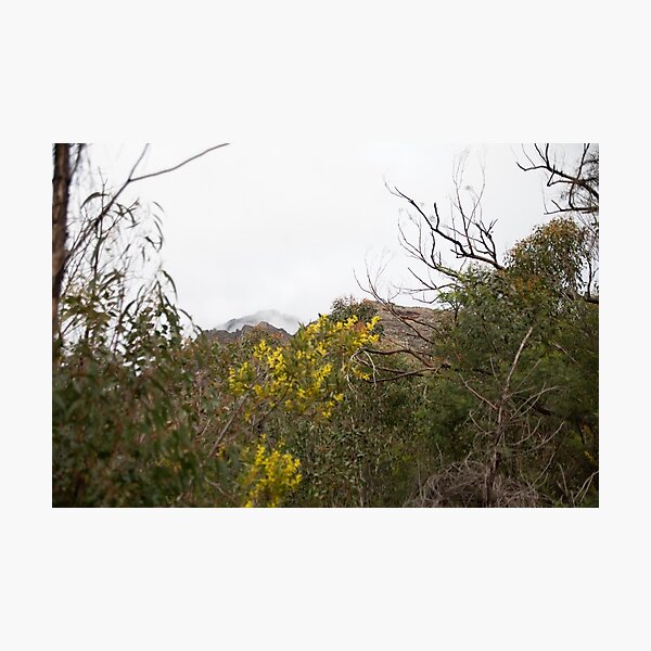 Item preview, Mount William designed and sold by Kevin Bergin.