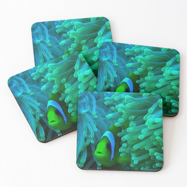 Item preview, Anemone Fish designed and sold by likbatonboot.