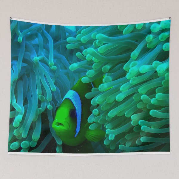Item preview, Anemone Fish designed and sold by likbatonboot.