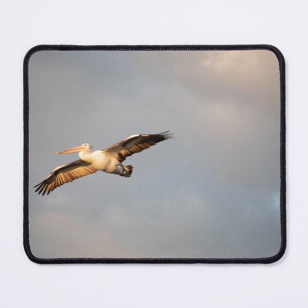 Item preview, Pelican in Flight designed and sold by Kevin Bergin.