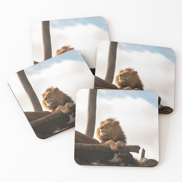 Item preview, Cats at Melbourne Zoo designed and sold by Kevin Bergin.